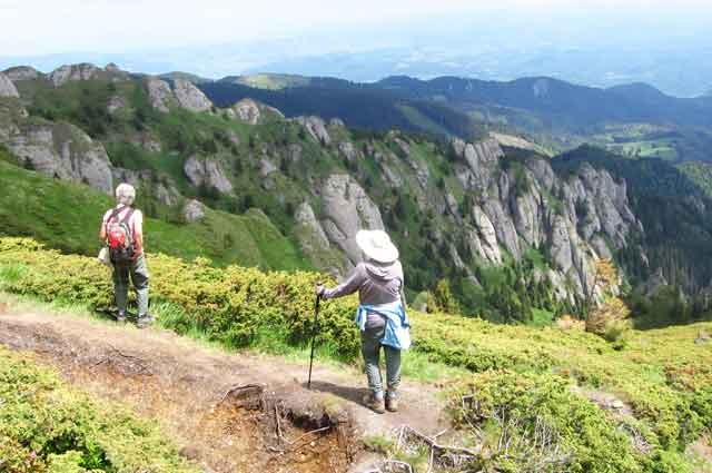Hiking in Brasov area